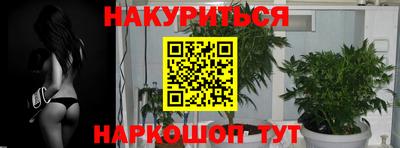 мдпв Севастополь