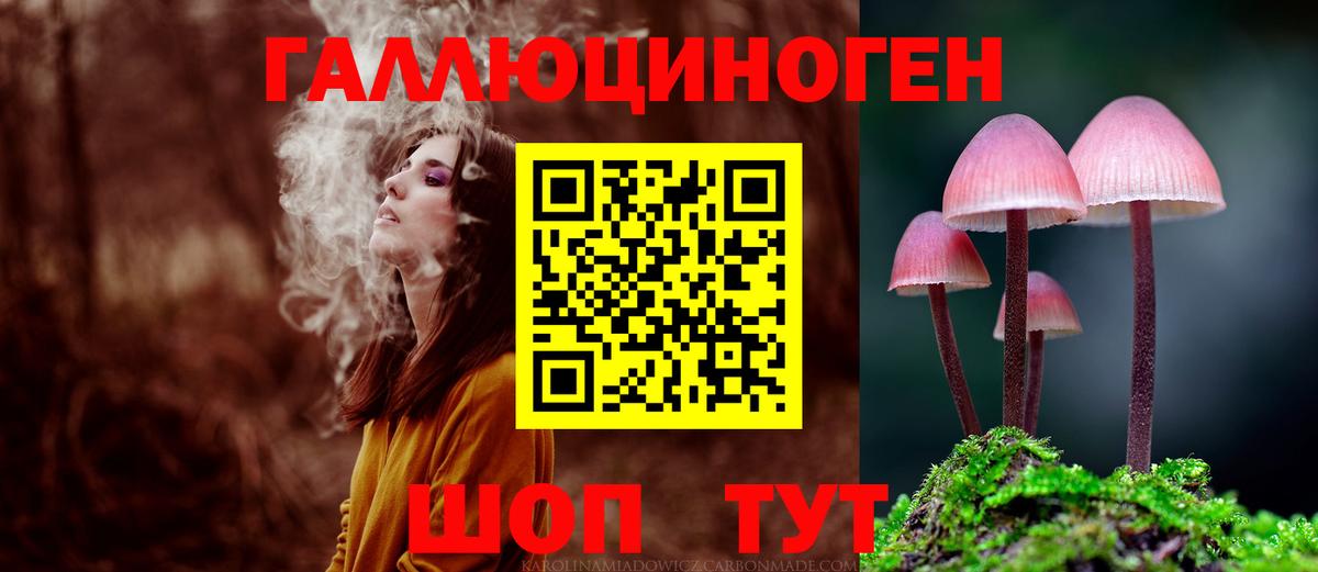 Галлюциногенные грибы Psilocybe  Вход с VPN  Рубцовск  Псилоцибиновые грибы прущие грибы 